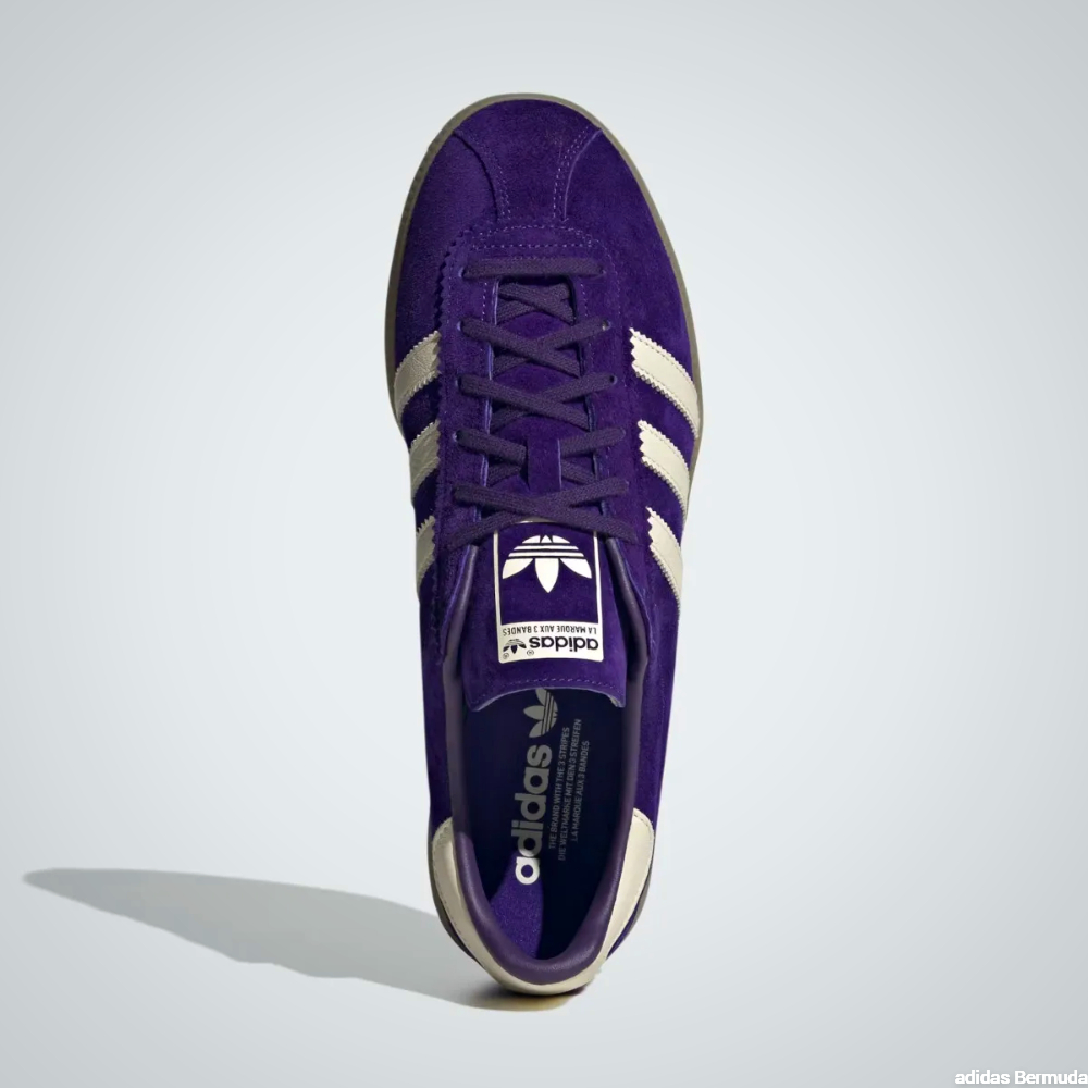Adidas Bermuda in Collegiate Purple - upper and shoe laces