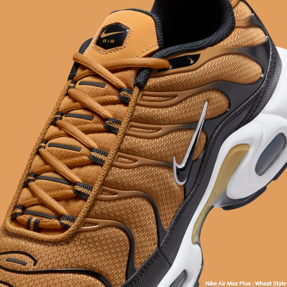 Wheat style Nike Air Max Plus - shoelace and tongue