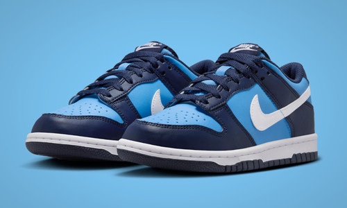 Nike Dunk Low - Light Blue/Navy