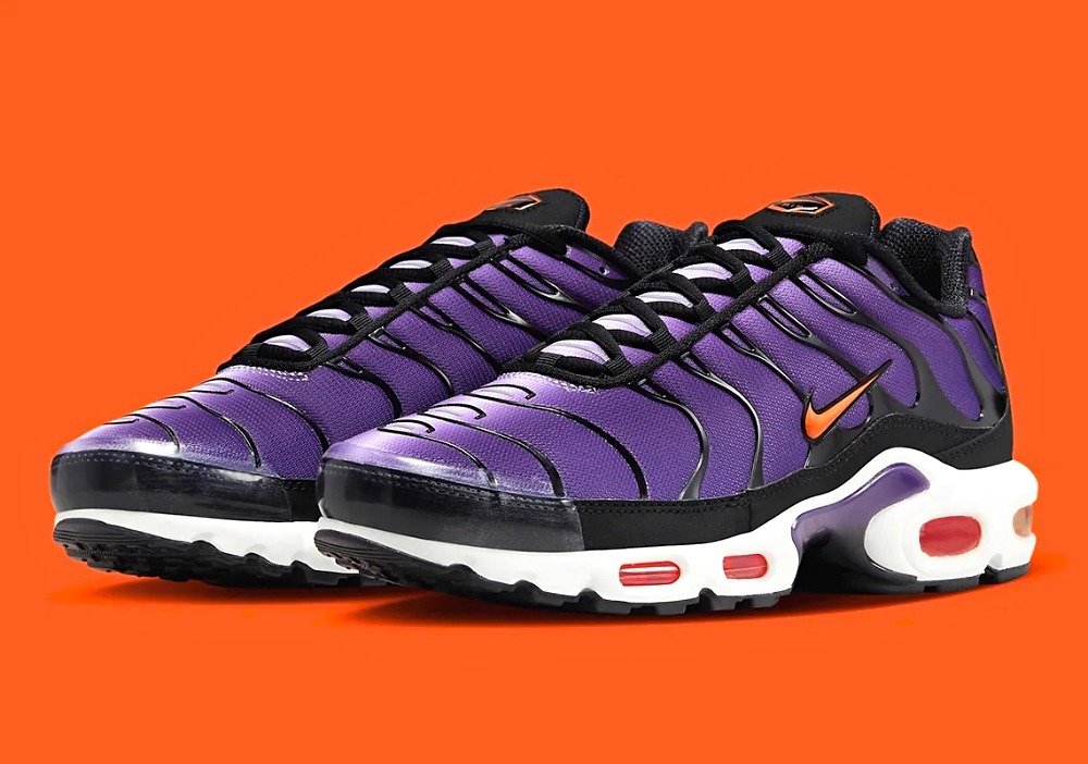 Nike Air Max Plus toebox/mudguard