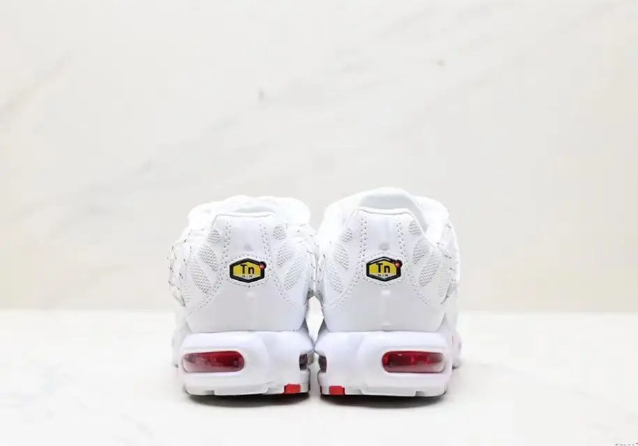 Air Max Plus | FN3488-100