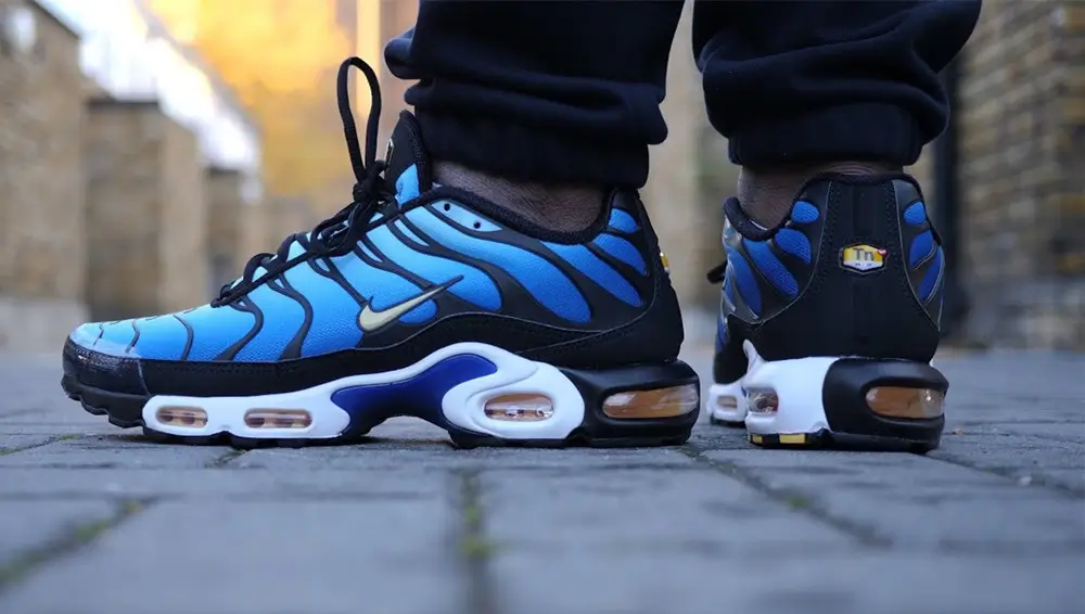 Nike Air Max Plus